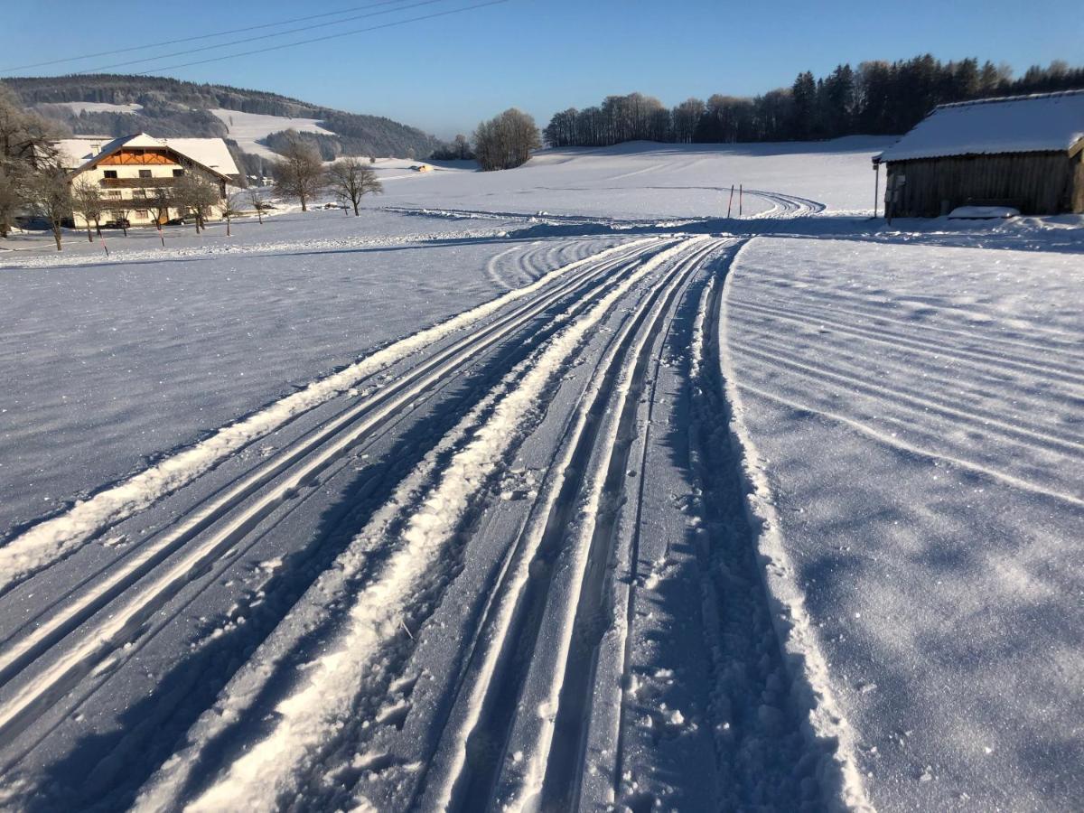 Apartamento Biohof-Feichtinger Zell am Moos Exterior foto