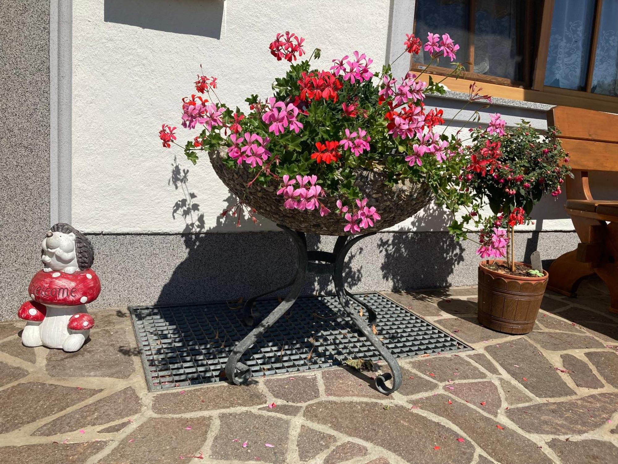 Apartamento Biohof-Feichtinger Zell am Moos Exterior foto