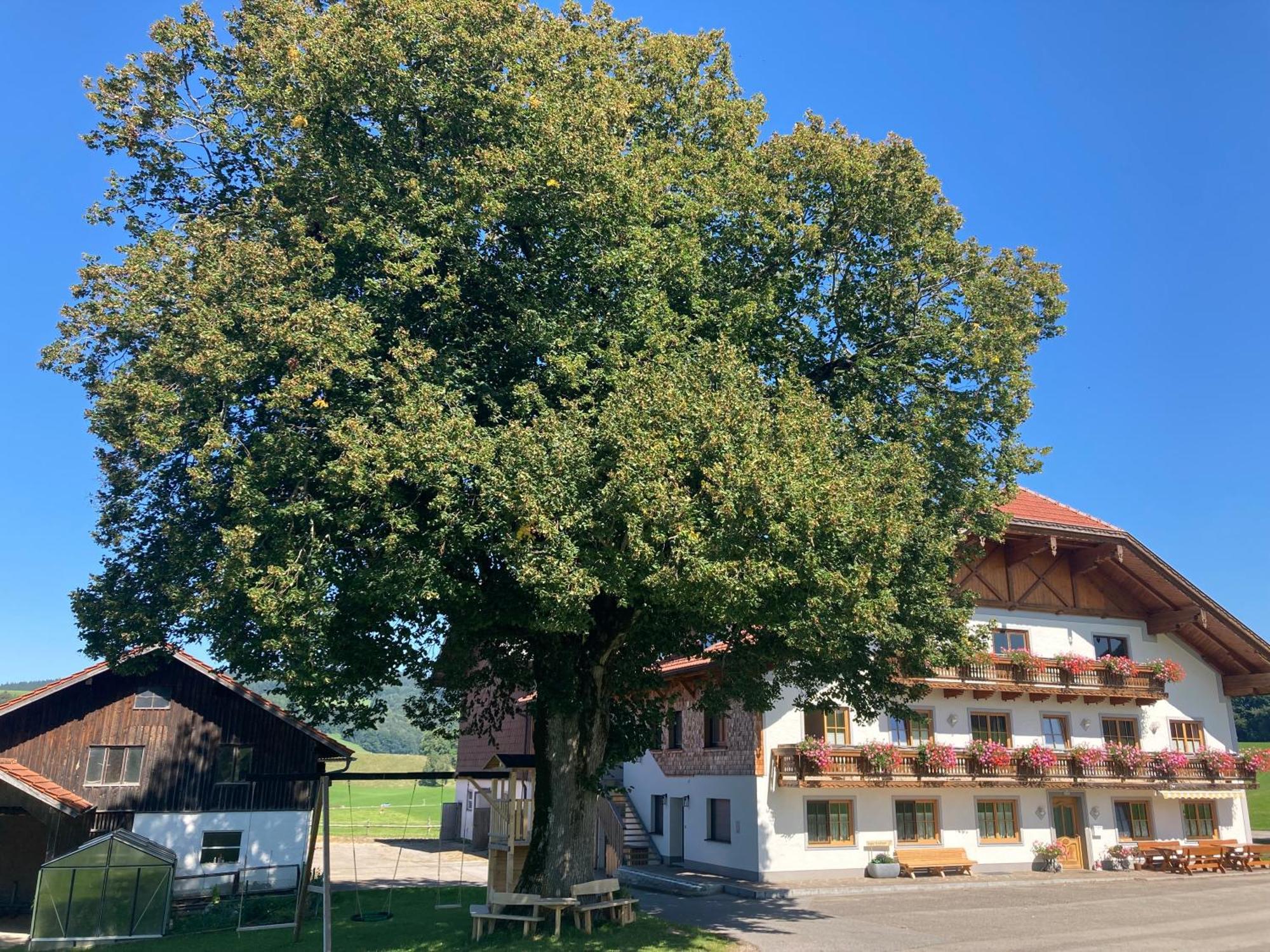 Apartamento Biohof-Feichtinger Zell am Moos Exterior foto
